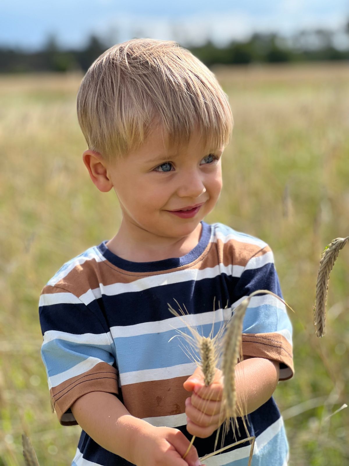 Kind auf Weizenfeld – FPS Campus Schulverpflegung steht für frische, regionale Zutaten und naturnahe Ernährung in Schulen und Kitas